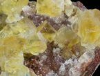Lustrous, Yellow Cubic Fluorite Crystals - Morocco #44903-1